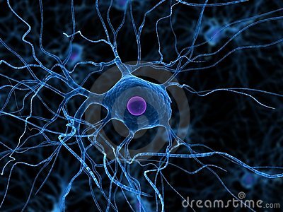 Nerve Cell Deterioration Functions of Alzheimer’s Patient